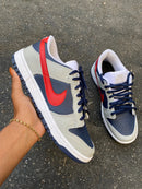 Nike Dunk Low SB Colors